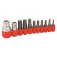 Toledo 11 Piece 6 Point Torx Bit Set  