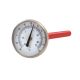 Toledo -40F To 160F Thermometer 
