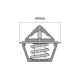 Tridon High Flow Thermostat  