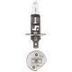 Narva 12V 55W Everlife H1 QH Globe  