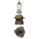 NARVA 12V 51W HB4A QH GLOBE