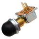 Cole Hersee On/Momentary Off Push Button Switch  