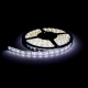 Whitevision 24V White LED Strip Light (5m Roll)  
