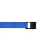 Lion 1m X 25mm Blue Cam Buckle Tie Down (Pack Of 6 ) 