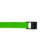Lion 2m X 25mm Green Cam Buckle Tie Down (Pack Of 6) 