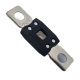 150 AMP ANM FUSE