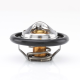 Tridon Thermostat  