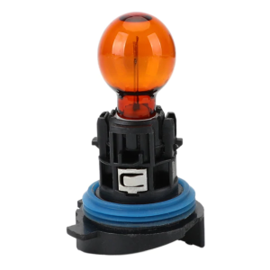 Philips 24V 100W H3 QH Globe  