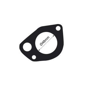 Tridon Thermostat Gasket  