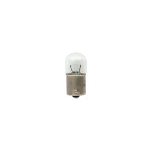 Philips 24V 5W BA15S Globe (Pack Of 10)