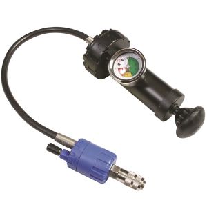 Toledo Gauge And Pump Assembly  