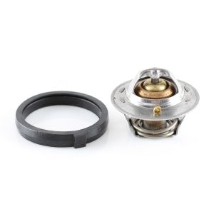 Tridon Thermostat  