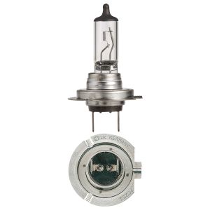 Narva 12V 55W +100% H7 QH Globe (Blister Pack Of 1)