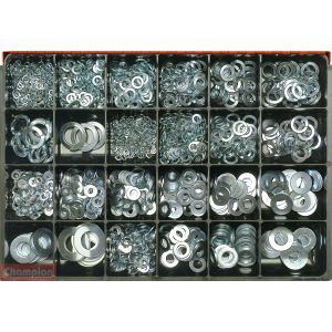 Champion Flat/Spring Washer Assortment  