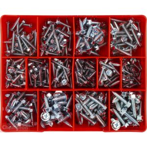 Champion Hex Head Self Tapping Screw Assortment  