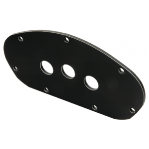 Ionnic Pendant Control 3 Hole Face Plate  
