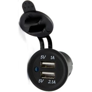 Lion Flush Mount 2.1 Amp Dual USB Socket  