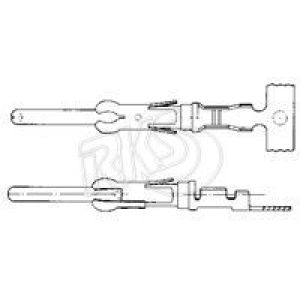Male Gold Pin Terminal  