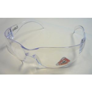 Standard Clear Lens Safety Glasses  