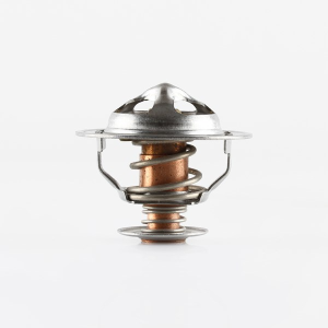 Tridon Thermostat  