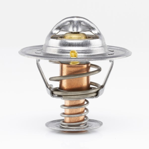 Tridon Thermostat  
