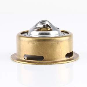 Tridon Thermostat  