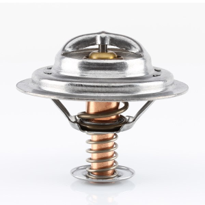 Tridon Thermostat  