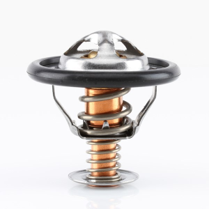 Tridon Thermostat  