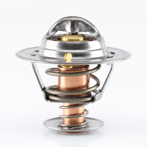 Tridon Thermostat  