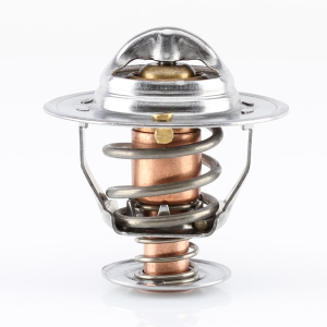 Tridon Thermostat  