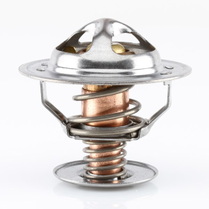 Tridon High Flow Thermostat  
