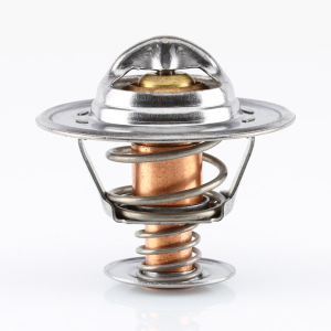Tridon Thermostat  