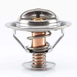 Tridon Thermostat  