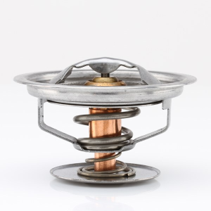 Tridon Thermostat  