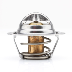 Tridon Thermostat  