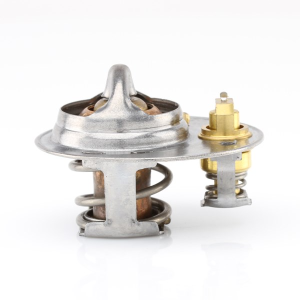 Tridon Thermostat  