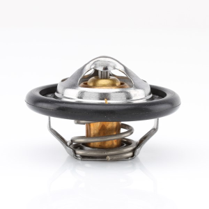 Tridon Thermostat  