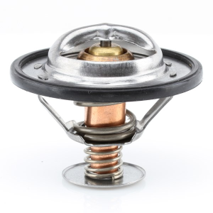 Tridon Thermostat  